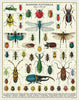 Bugs & Insects Jigsaw Puzzle