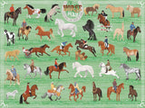 Horse Play Puzzle