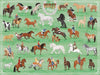 Horse Play Puzzle